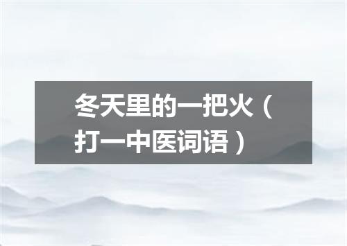 冬天里的一把火（打一中医词语）