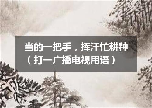 当的一把手，挥汗忙耕种（打一广播电视用语）