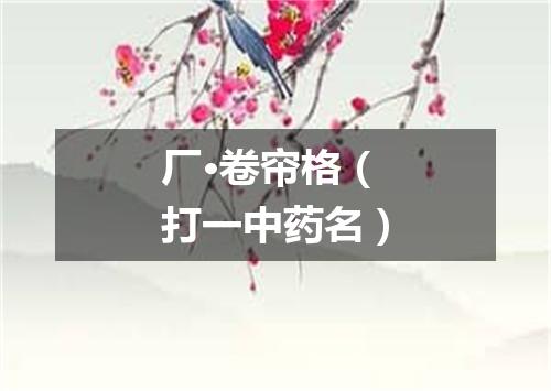 厂·卷帘格（打一中药名）