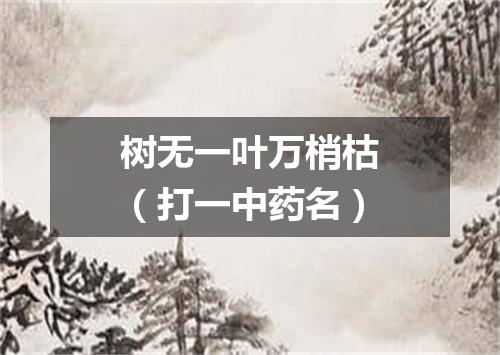 树无一叶万梢枯（打一中药名）