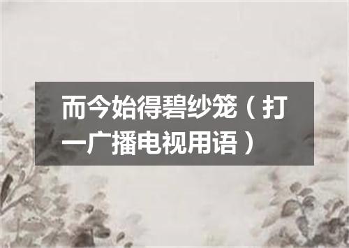 而今始得碧纱笼（打一广播电视用语）