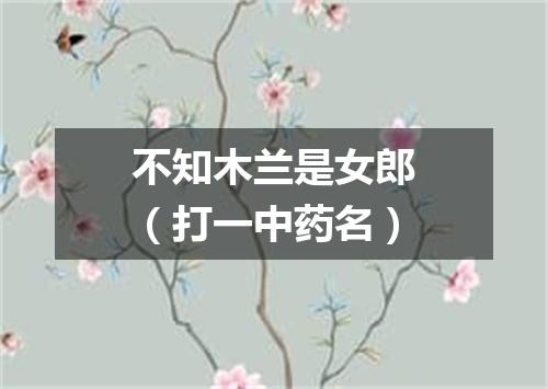 不知木兰是女郎（打一中药名）