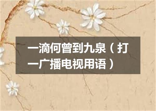 一滴何曾到九泉（打一广播电视用语）