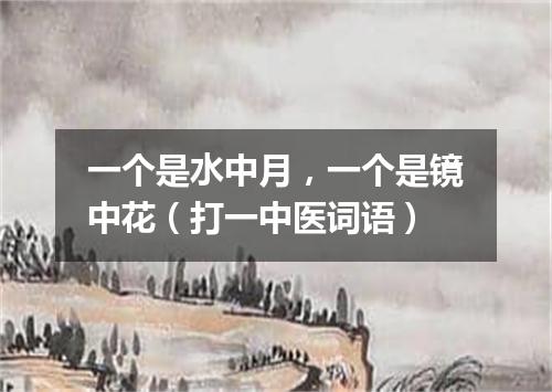 一个是水中月，一个是镜中花（打一中医词语）