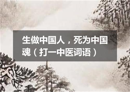 生做中国人，死为中国魂（打一中医词语）