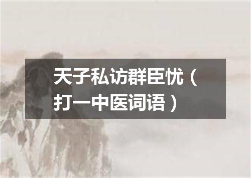 天子私访群臣忧（打一中医词语）