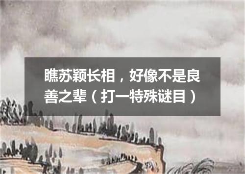 瞧苏颖长相，好像不是良善之辈（打一特殊谜目）