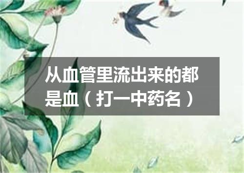 从血管里流出来的都是血（打一中药名）