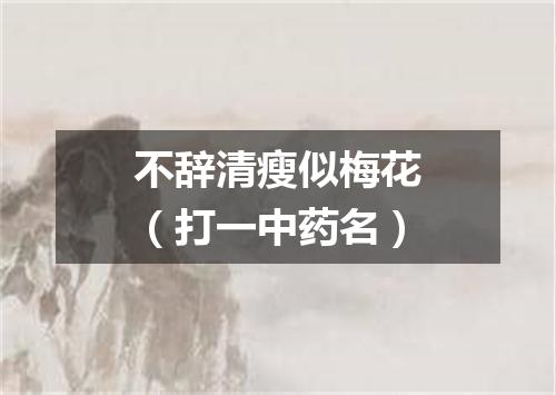 不辞清瘦似梅花（打一中药名）