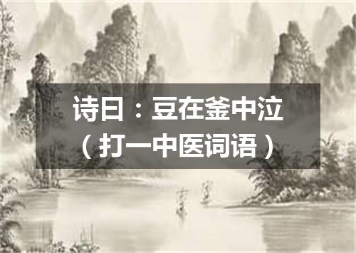 诗曰：豆在釜中泣（打一中医词语）