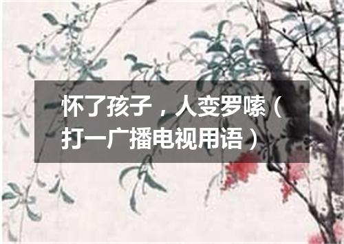 怀了孩子，人变罗嗦（打一广播电视用语）