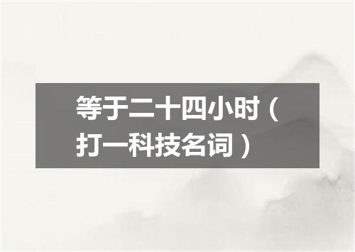 等于二十四小时（打一科技名词）