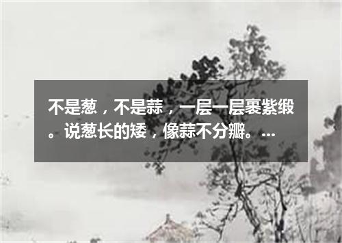 不是葱，不是蒜，一层一层裹紫缎。说葱长的矮，像蒜不分瓣。（打一蔬菜）