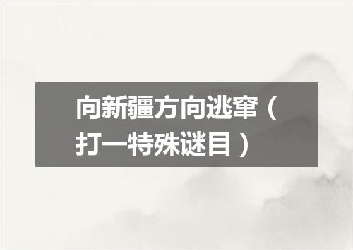 向新疆方向逃窜（打一特殊谜目）