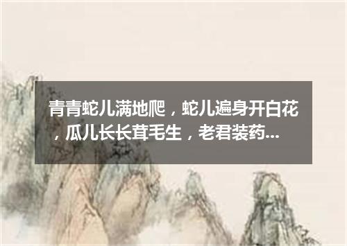 青青蛇儿满地爬，蛇儿遍身开白花，瓜儿长长茸毛生，老君装药要用它。（打一植物）