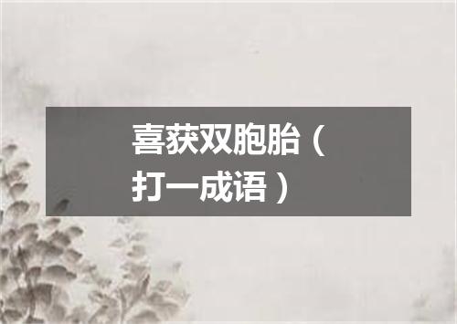 喜获双胞胎（打一成语）