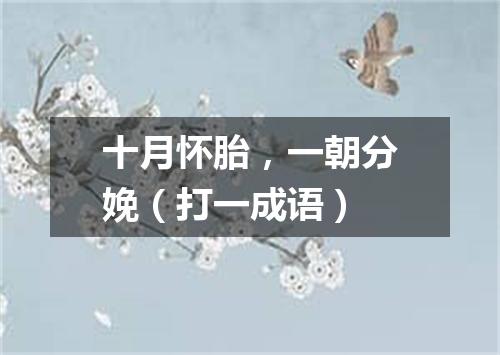十月怀胎，一朝分娩（打一成语）