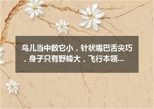 鸟儿当中数它小，针状嘴巴舌尖巧，身子只有野蜂大，飞行本领却很高。（打一动物）