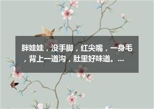 胖娃娃，没手脚，红尖嘴，一身毛，背上一道沟，肚里好味道。（打一水果）