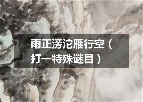 雨正滂沱雁行空（打一特殊谜目）