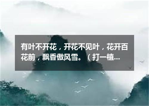 有叶不开花，开花不见叶，花开百花前，飘香傲风雪。（打一植物）