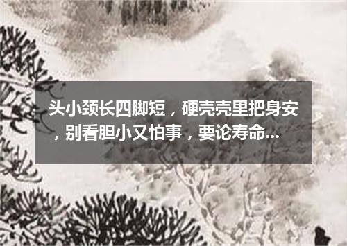 头小颈长四脚短，硬壳壳里把身安，别看胆小又怕事，要论寿命大无边。（打一动物）