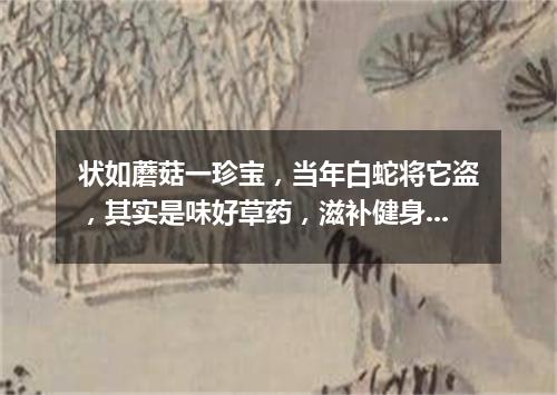 状如蘑菇一珍宝，当年白蛇将它盗，其实是味好草药，滋补健身价值高。（打一植物）