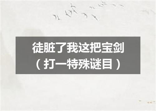 徒脏了我这把宝剑（打一特殊谜目）