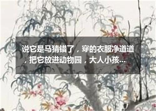 说它是马猜错了，穿的衣服净道道，把它放进动物园，大人小孩都爱瞧。（打一动物）