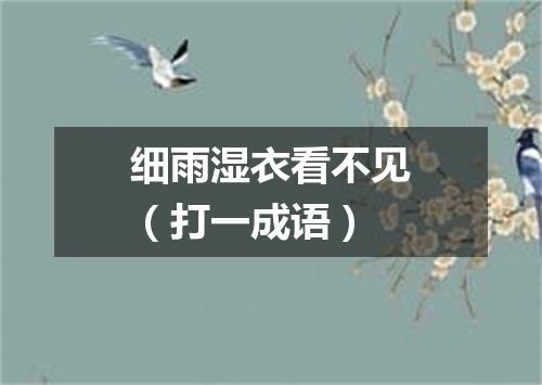 细雨湿衣看不见（打一成语）