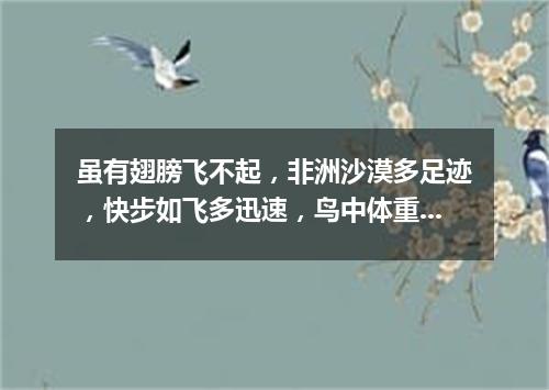 虽有翅膀飞不起，非洲沙漠多足迹，快步如飞多迅速，鸟中体重它第一。（打一动物）