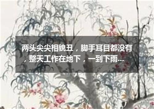 两头尖尖相貌丑，脚手耳目都没有，整天工作在地下，一到下雨才露头。（打一动物）