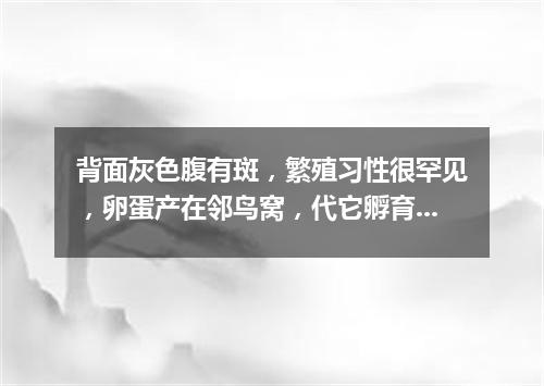 背面灰色腹有斑，繁殖习性很罕见，卵蛋产在邻鸟窝，代它孵育自消遣。（打一动物）