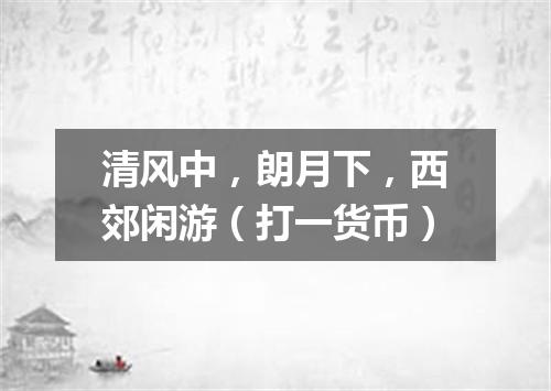 清风中，朗月下，西郊闲游（打一货币）
