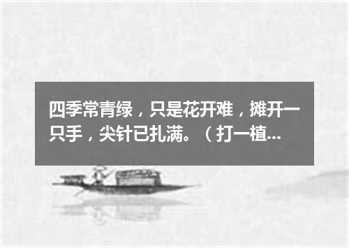 四季常青绿，只是花开难，摊开一只手，尖针已扎满。（打一植物）