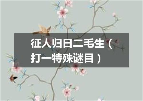 征人归日二毛生（打一特殊谜目）