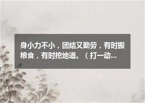 身小力不小，团结又勤劳，有时搬粮食，有时挖地道。（打一动物）