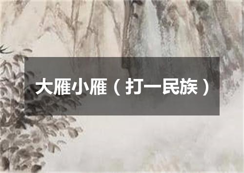 大雁小雁（打一民族）