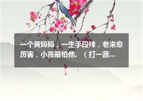 一个黄妈妈，一生手段辣，老来愈厉害，小孩最怕他。（打一蔬菜）