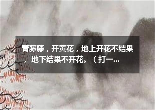 青藤藤，开黄花，地上开花不结果， 地下结果不开花。（打一植物）