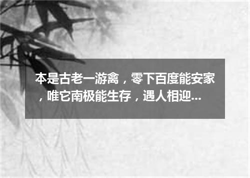 本是古老一游禽，零下百度能安家，唯它南极能生存，遇人相迎不害怕。（打一动物）