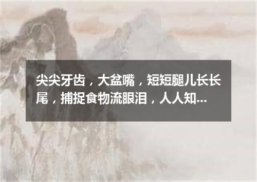 尖尖牙齿，大盆嘴，短短腿儿长长尾，捕捉食物流眼泪，人人知它假慈悲。（打一动物）