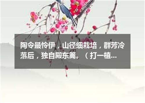 陶令最怜伊，山径细栽培，群芳冷落后，独自殿东篱。（打一植物）