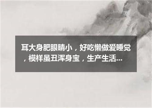 耳大身肥眼睛小，好吃懒做爱睡觉，模样虽丑浑身宝，生产生活不可少。（打一动物）