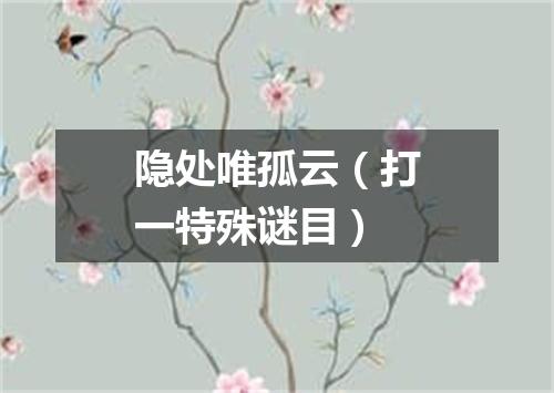 隐处唯孤云（打一特殊谜目）