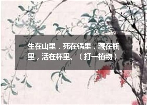 生在山里，死在锅里，藏在瓶里，活在杯里。（打一植物）