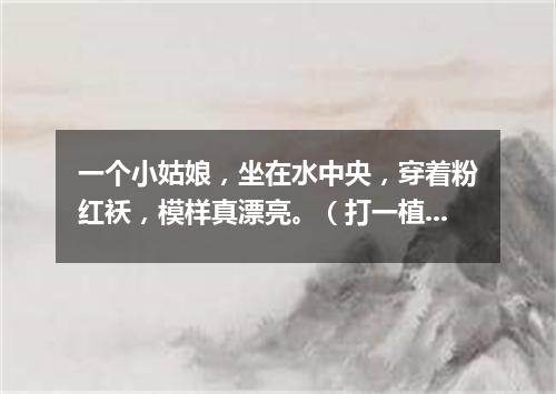 一个小姑娘，坐在水中央，穿着粉红袄，模样真漂亮。（打一植物）