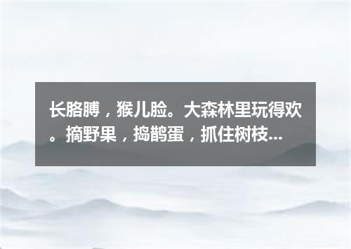 长胳膊，猴儿脸。大森林里玩得欢。摘野果，捣鹊蛋，抓住树枝荡秋千。（打一动物）