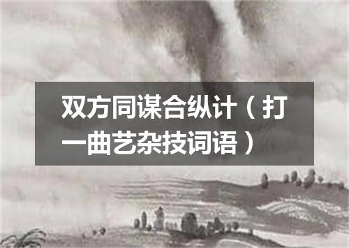 双方同谋合纵计（打一曲艺杂技词语）