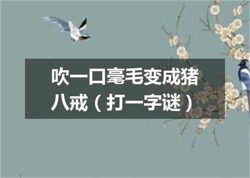 吹一口毫毛变成猪八戒（打一字谜）